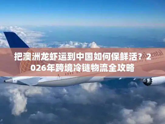 把澳洲龙虾运到中国如何保鲜活？2026年跨境冷链物流全攻略