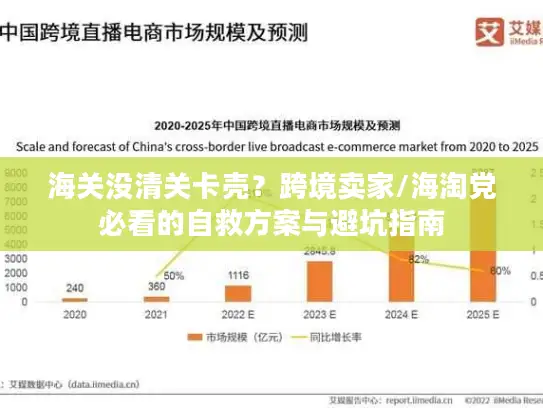 海关没清关卡壳？跨境卖家/海淘党必看的自救方案与避坑指南