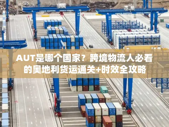 AUT是哪个国家?跨境物流人必看的奥地利货运通关+时效全攻略 AUT是哪个国家?跨境物流人必看的奥地利货运通关+时效全攻略