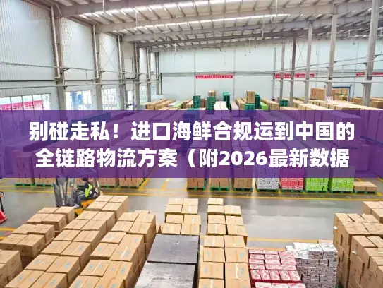 别碰走私！进口海鲜合规运到中国的全链路物流方案（附2026最新数据）