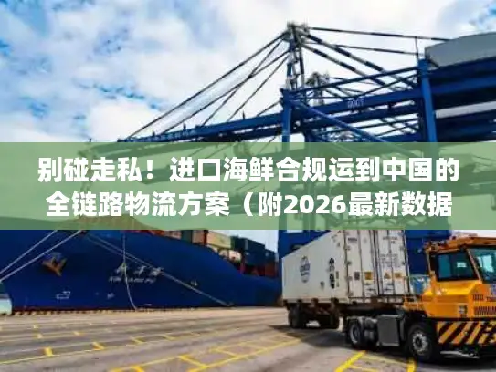 别碰走私！进口海鲜合规运到中国的全链路物流方案（附2026最新数据）