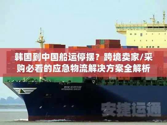 韩国到中国船运停摆？跨境卖家/采购必看的应急物流解决方案全解析