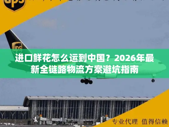 进口鲜花怎么运到中国？2026年最新全链路物流方案避坑指南