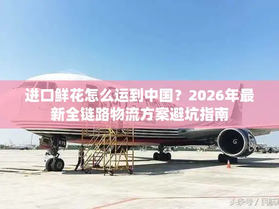 进口鲜花怎么运到中国？2026年最新全链路物流方案避坑指南