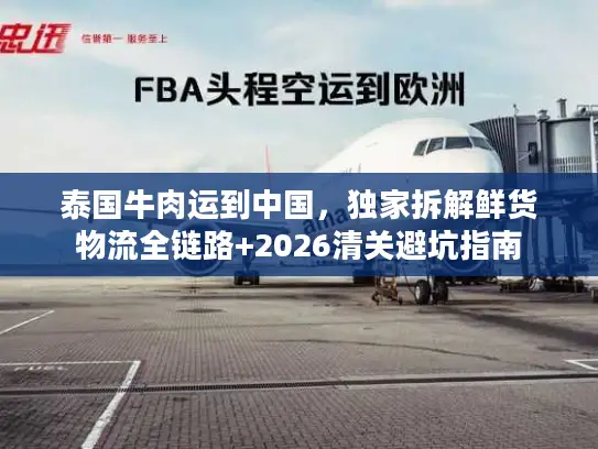 泰国牛肉运到中国，独家拆解鲜货物流全链路+2026清关避坑指南