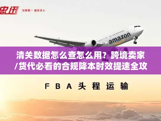 清关数据怎么查怎么用？跨境卖家/货代必看的合规降本时效提速全攻略
