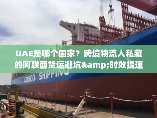 UAE是哪个国家？跨境物流人私藏的阿联酋货运避坑&时效提速指南