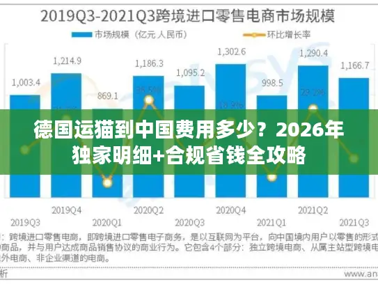 德国运猫到中国费用多少？2026年独家明细+合规省钱全攻略