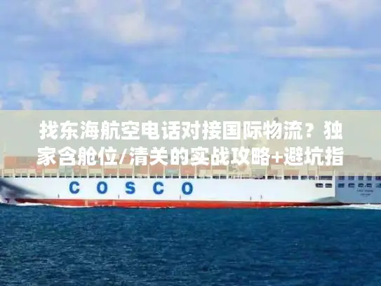 找东海航空电话对接国际物流？独家含舱位/清关的实战攻略+避坑指南
