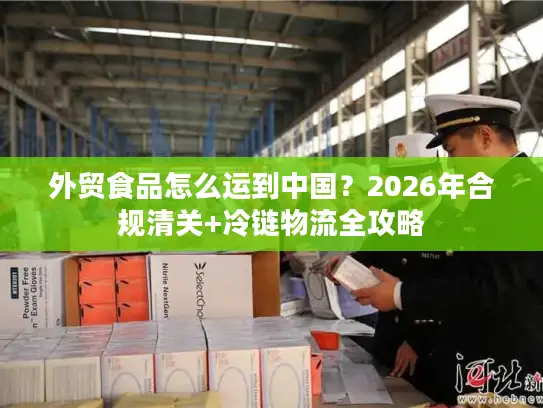 外贸食品怎么运到中国？2026年合规清关+冷链物流全攻略