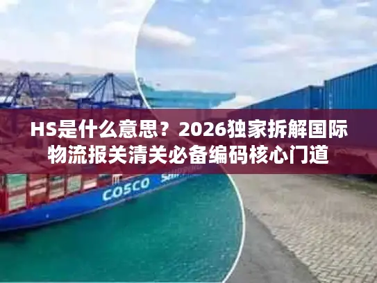HS是什么意思？2026独家拆解国际物流报关清关必备编码核心门道