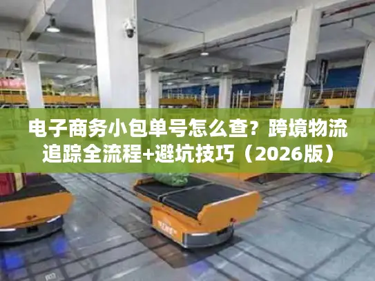 电子商务小包单号怎么查？跨境物流追踪全流程+避坑技巧（2026版）