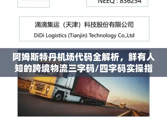 阿姆斯特丹机场代码全解析，鲜有人知的跨境物流三字码/四字码实操指南