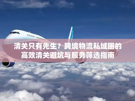 清关只有先生？跨境物流私域圈的高效清关避坑与服务筛选指南