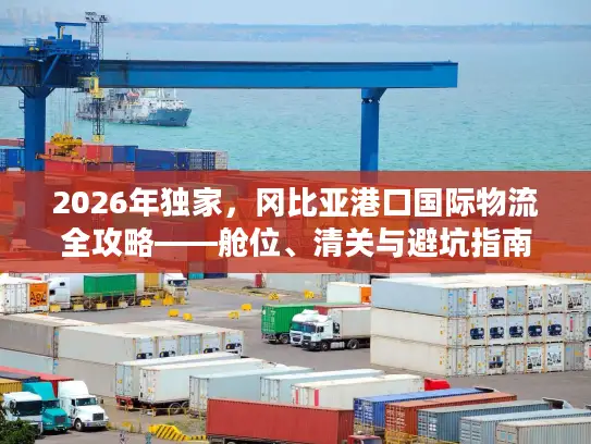 2026年独家，冈比亚港口国际物流全攻略——舱位、清关与避坑指南