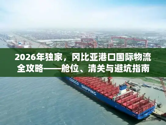2026年独家，冈比亚港口国际物流全攻略——舱位、清关与避坑指南