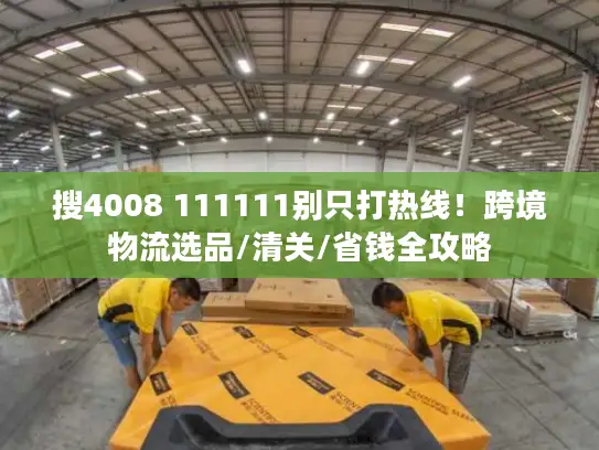 搜4008 111111别只打热线！跨境物流选品/清关/省钱全攻略