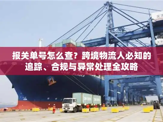 报关单号怎么查？跨境物流人必知的追踪、合规与异常处理全攻略
