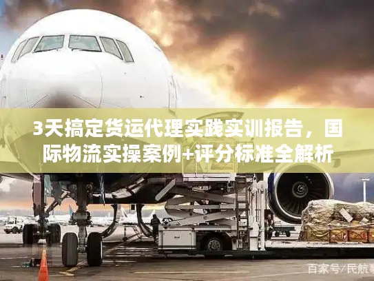 3天搞定货运代理实践实训报告，国际物流实操案例+评分标准全解析