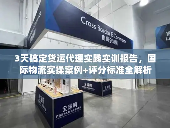 3天搞定货运代理实践实训报告，国际物流实操案例+评分标准全解析