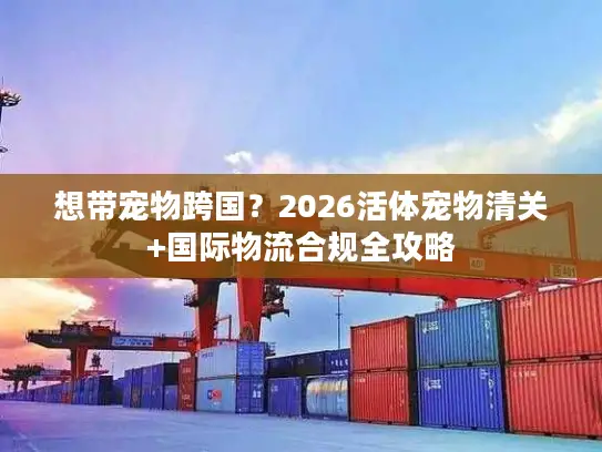想带宠物跨国？2026活体宠物清关+国际物流合规全攻略