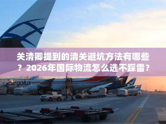 关清卿提到的清关避坑方法有哪些？2026年国际物流怎么选不踩雷？