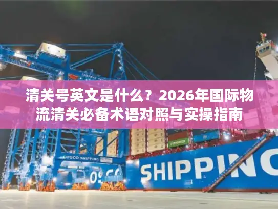 清关号英文是什么？2026年国际物流清关必备术语对照与实操指南