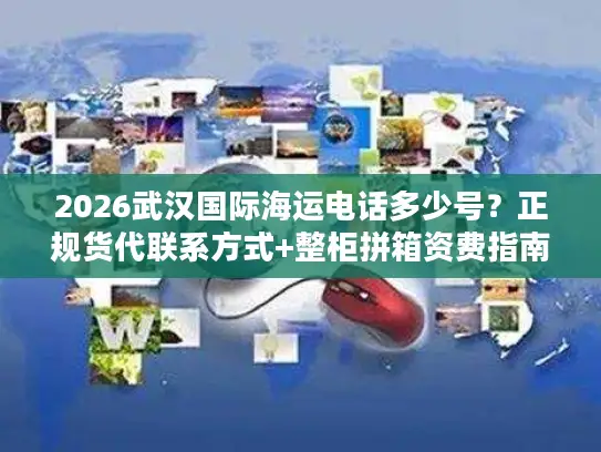 2026武汉国际海运电话多少号？正规货代联系方式+整柜拼箱资费指南